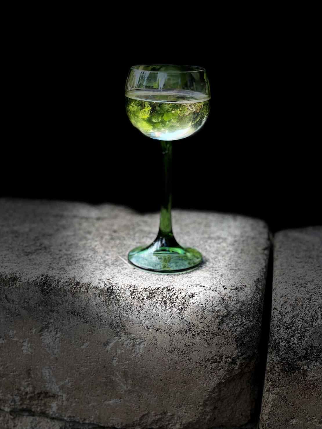 Ein Weinglas in dem sich die Reben spiegeln!