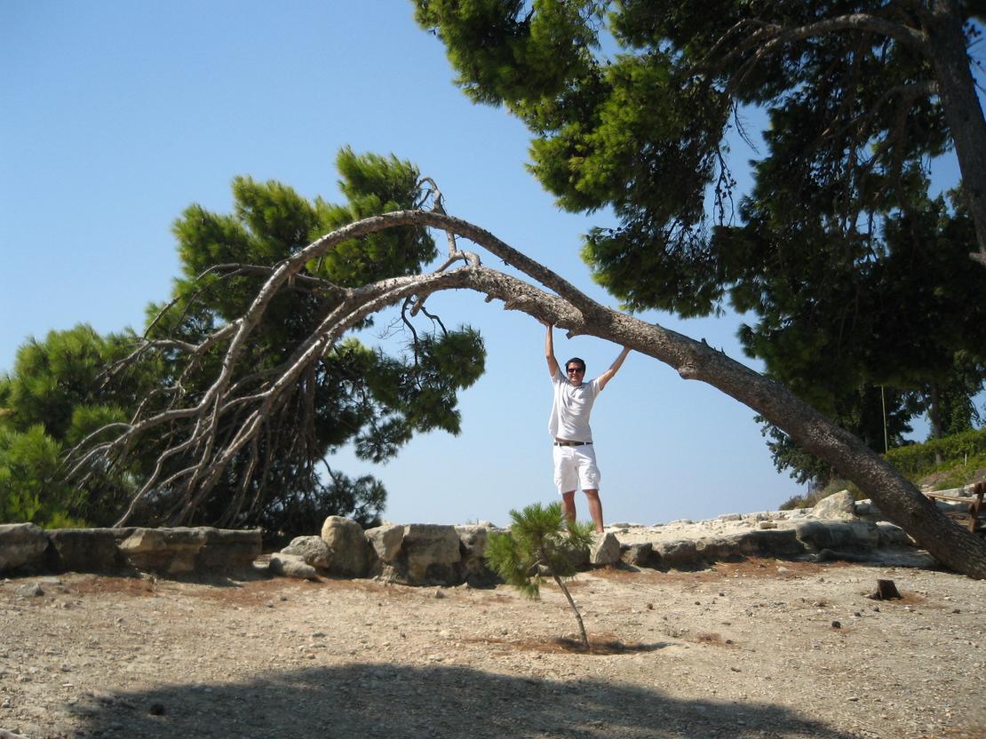Mann steht unter einen Baum, der sich stark geneigt hat