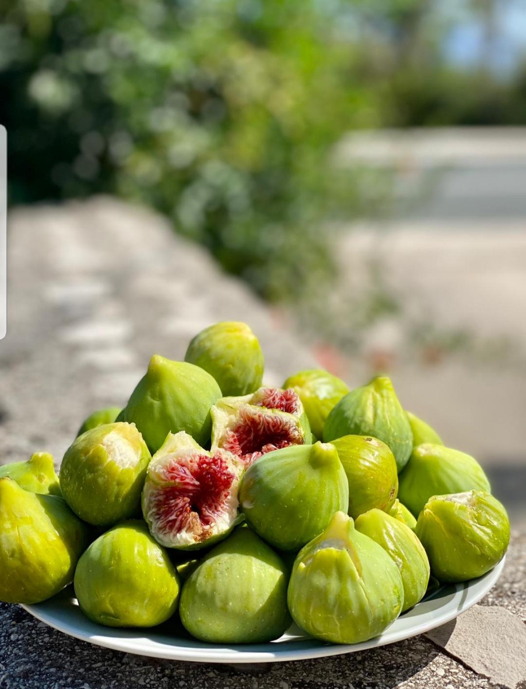 Sei nicht Feige und greif zu, Dalmatien 