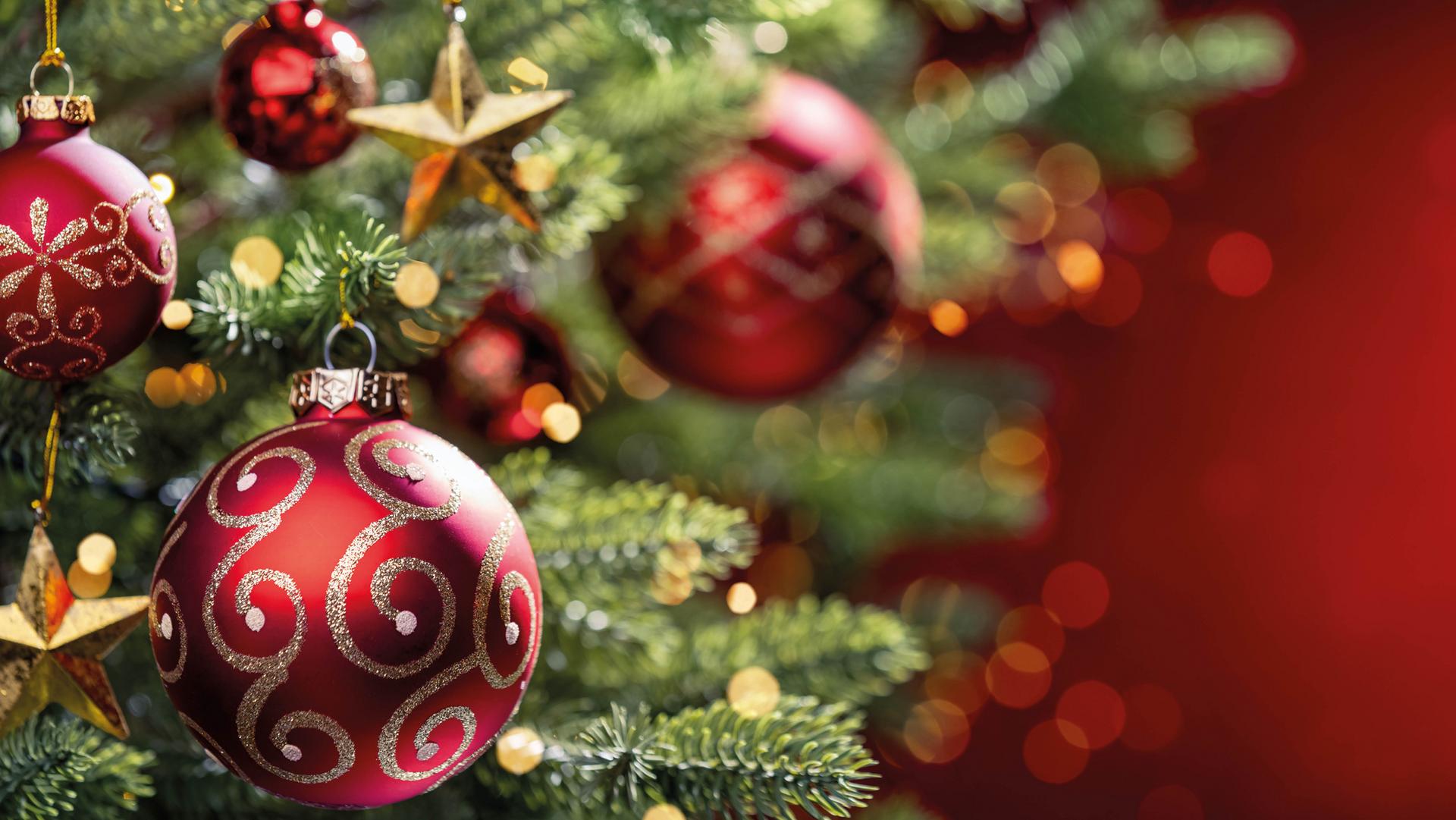 Deine Hauptgruppe 1 wünscht Dir und Deiner Familie schöne Festtage!