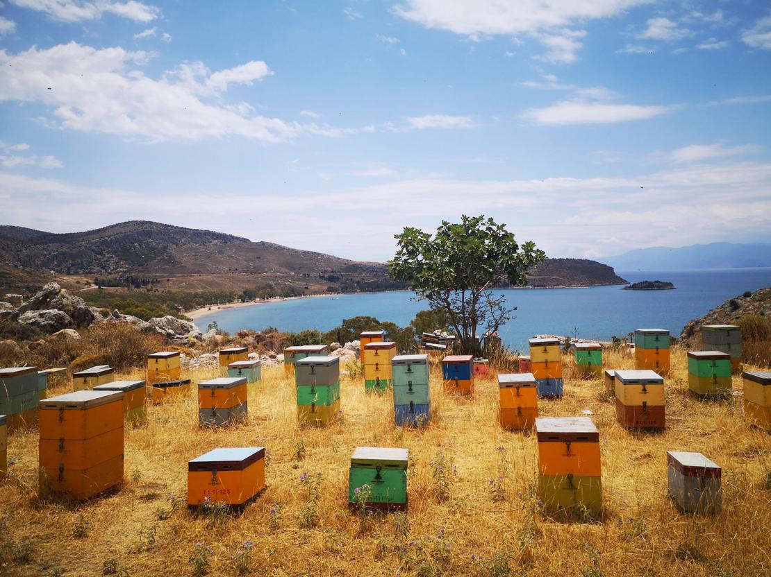 Griechische Bienenstöcke in vielen Farben, Nafplio